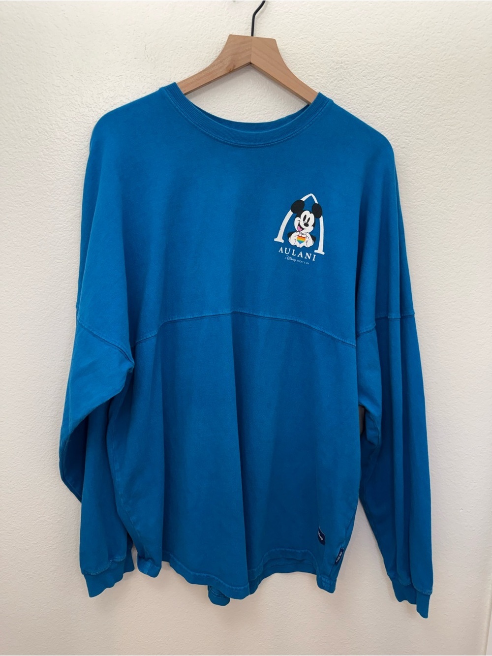 Aulani Disney Aloha Spirit Jersey Pride Collection Long Sleeve Blue Large - Picture 1 of 10